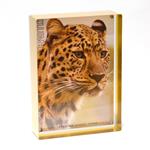 Frame It / Waban Gallery - Canetti 4x10 acrylic photo frame with clear edge  - LC400