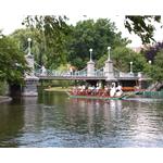 Boston public gardens swan boats photograph by Kurt Neumann | Frame It Waban Gallery