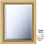 Newton Series Framed Mirror Style 274 Gold Wood Frame - In Many Sizes | Frame It Waban Gallery