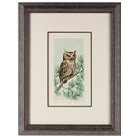 framed artwork "Screech Owl" by Lynn Meiners