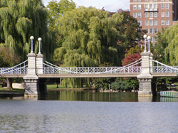 Public Garden Bridge Boston MA