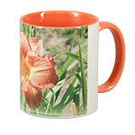 Ceramic mug, 11 oz. Color handle