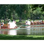 Boston swan boats 1 by Kurt Neumann