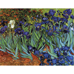 Irises by Vincent van Gogh