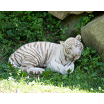 White Tiger