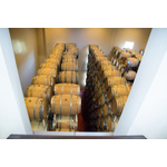 Wine Barrels 2