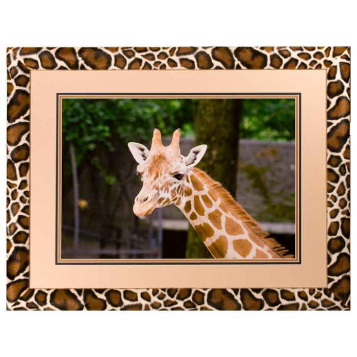 framed photograph Giraffe photograph by Kurt Neumann | Frame It Waban Gallery