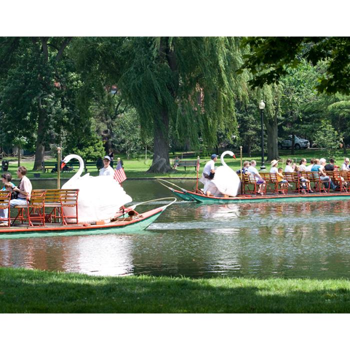 Boston public gardens swan boats photograph by Kurt Neumann | Frame It Waban Gallery